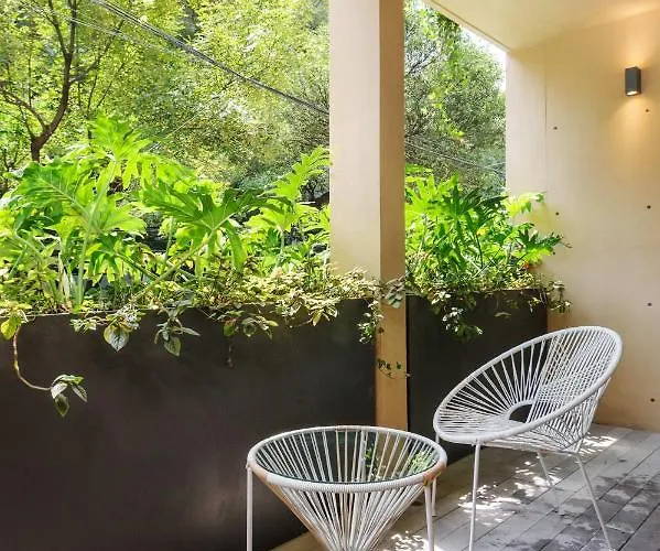 Delightful 2Br In Condesa