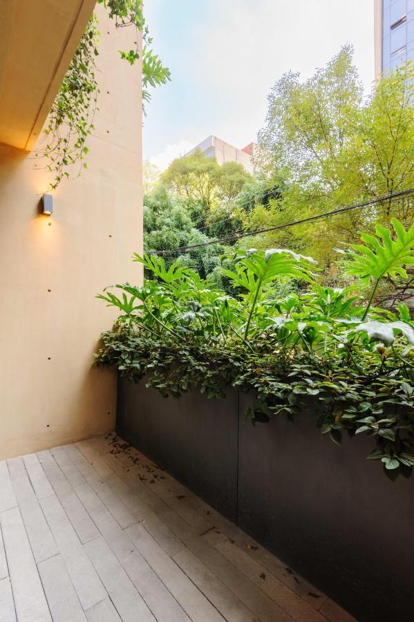 Delightful 2br In Condesa Mexico City